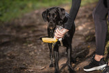 Pet Water Bottle Travel Drinking Essential